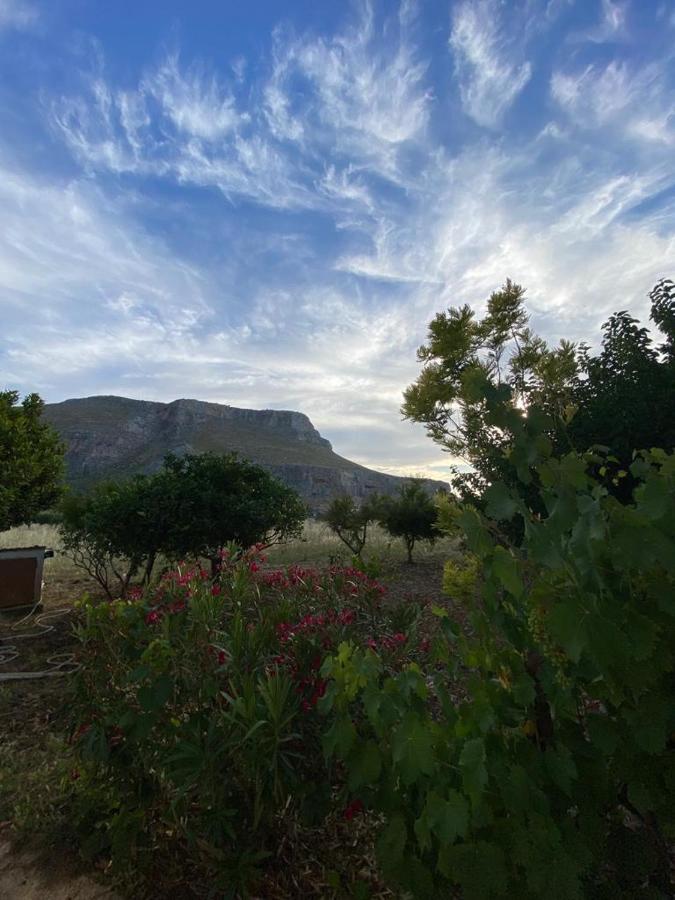 La Casa Del Gelso Apartment Tonnara di Bonagia Luaran gambar